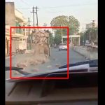 Sand mafia empties stone-laden tractor-trolley on vehicle chasing them in Madhya Pradesh's Morena