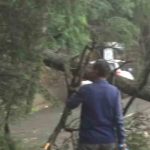 Himachal Pradesh: Trees uprooted, roads blocked after heavy rain in Shimla