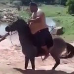 Clever man shows how to ride a horse with minimum effort