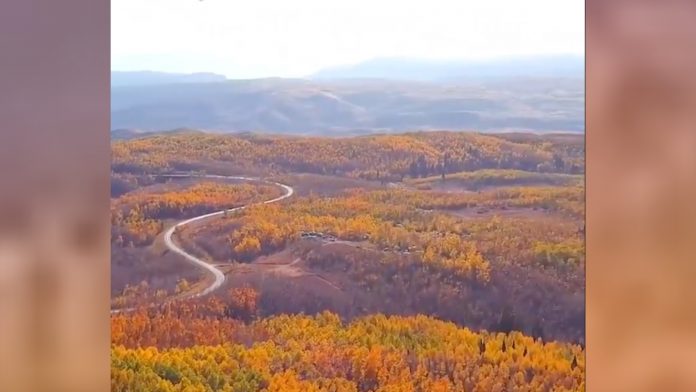 A stunning blanket of autumn leaves covered the landscape in northern Utah, as captured in drone footage.