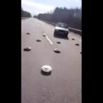 Viral video: Unbelievable courage of Ukrainian drivers
