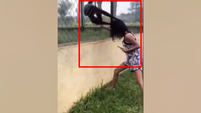 MEXICO: Video of spider monkeys pulling the hair of a girl aggressively is now going viral