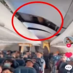 US: See inside of Hawaiian Airlines plane rocked by turbulence, At least 36 people injured including 11 seriously