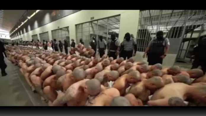 El Salvador's Mega Prison: A New Jailhouse for Thousands of Criminals