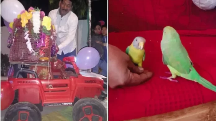 Love Is In The Air: Parrot and Myna Tie The Knot in Madhya Pradesh