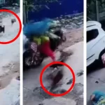 Odisha: Women & Child On Scooter Ram Into Car Due To Dog Chase